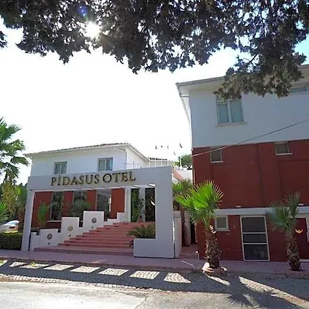 Hotel Pidasus