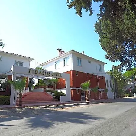 Hotel Pidasus *